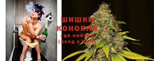 сатива Нефтекумск